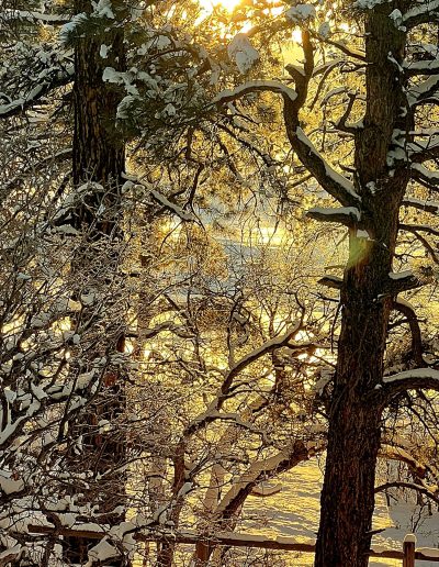 Photo titled sunrise after the snow - 11"x14" print