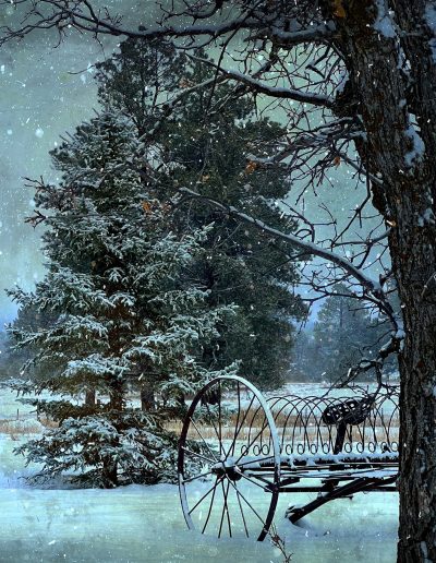 First Snow - Photo location: Pagosa Springs, Colorado