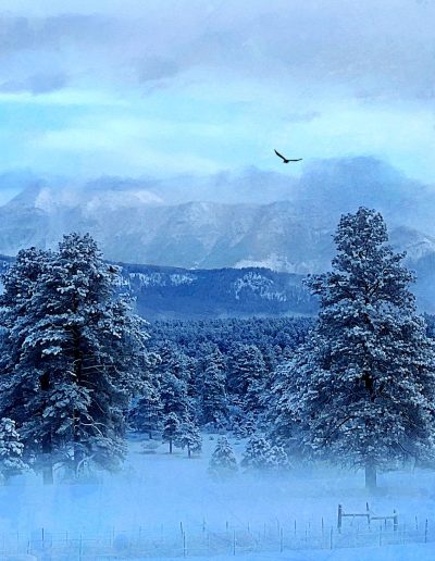 After the Storm - Photo location: Pagosa Springs, Colorado